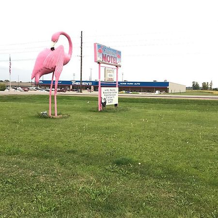 Flamingo Motel Marshalltown Экстерьер фото