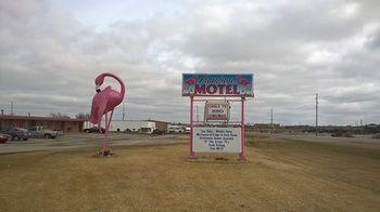 Flamingo Motel Marshalltown Экстерьер фото